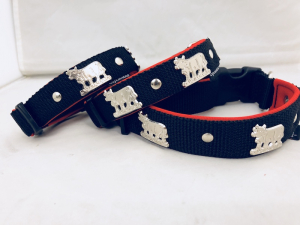 Appenzeller Halsband schwarz